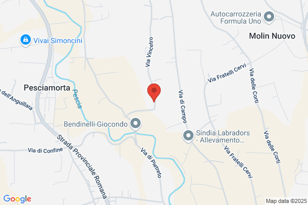 Tomaificio Menichini E Bendinelli Snc