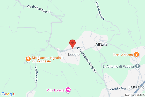 Falegnameria Il Leccio (S.N.C.)