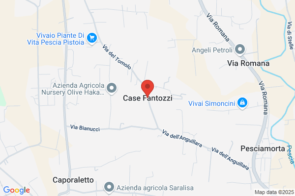 Fantozzi Celestino