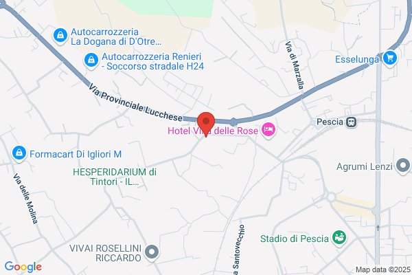 Tronchetti Silvestri Giuseppina S.R.L.