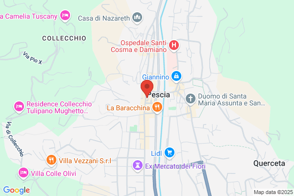 Lucchesini siro