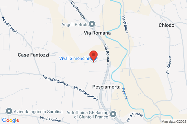 Samsaja