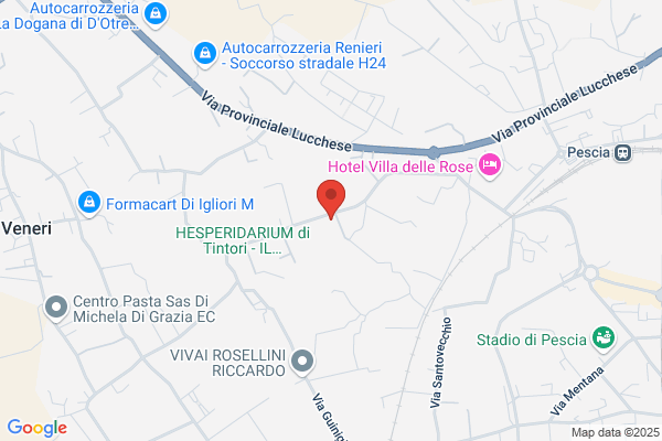 Cerchiai Silvio