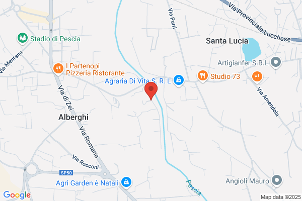 Gentili Generatori S.R.L.