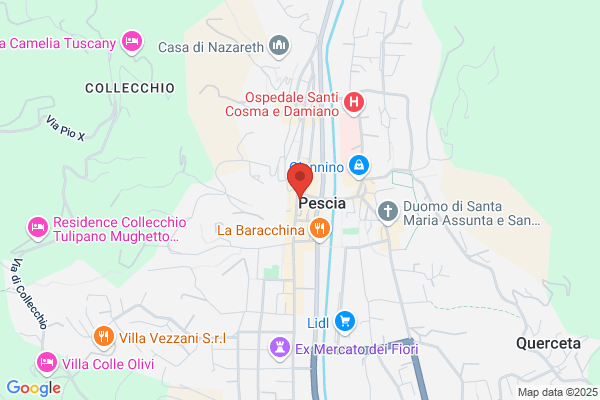 Ottica Goiorani Pescia
