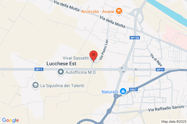 Sassetti Agricoltura S.R.L.