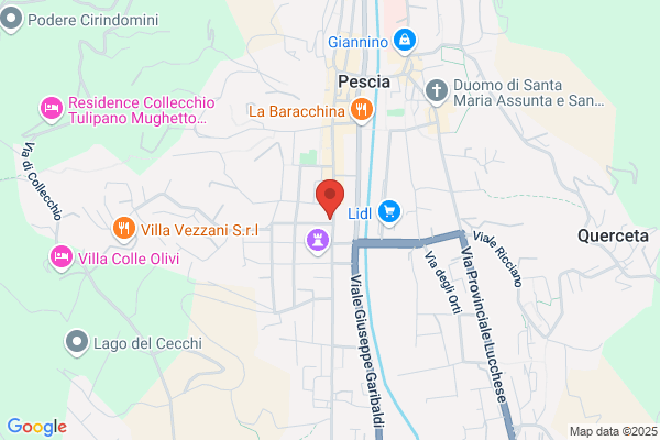 Studio Associato Birindelli Viareggi