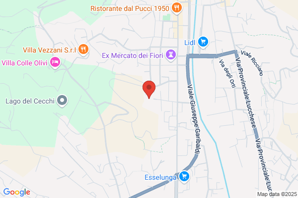 Istituto Don Bosco Di Pescia