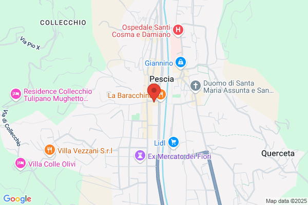 Pro Pubblica Assistenza S.C.A.R.L.