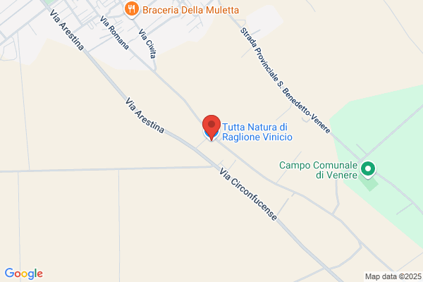 Raglione vinicio
