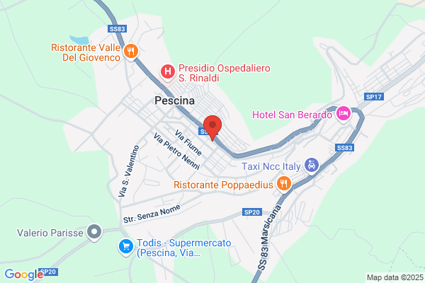 Spina stefano