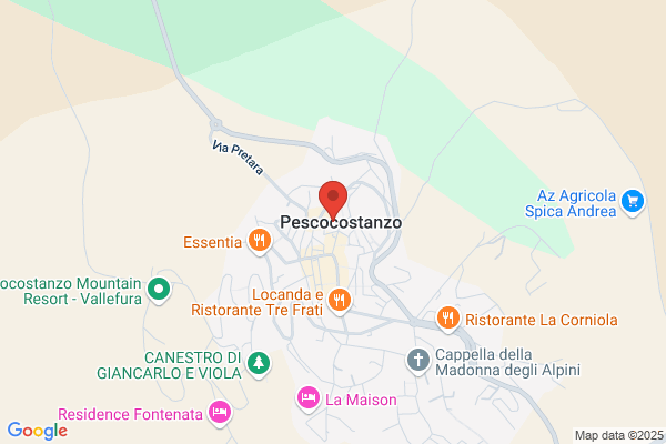 Fiori E Piante Natura E Arte