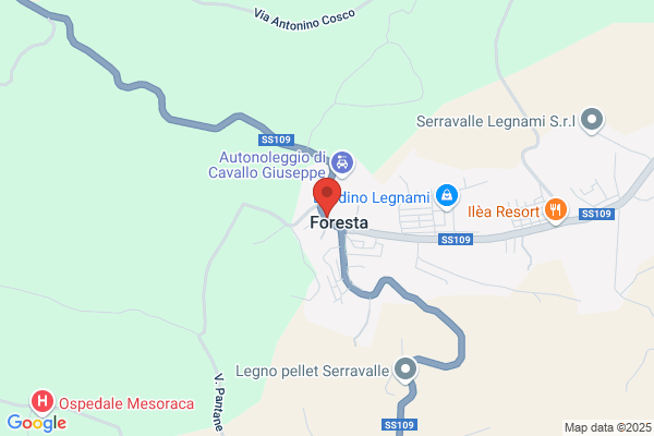 Antichità Brizzi