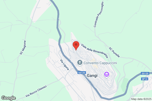 Gangi Carmelo