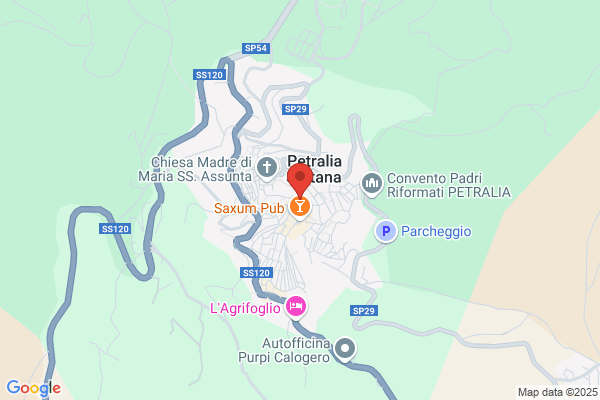 Puglisi salvatore (Dr.)