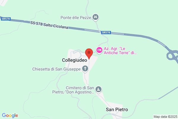 Salini angelo