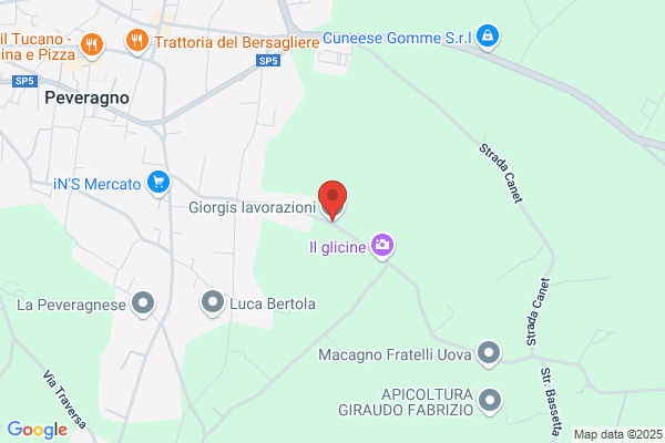Giorgis Silvio