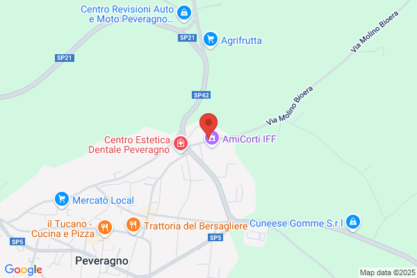 Il Meccanico