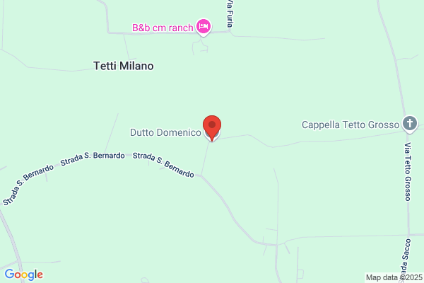Tosello domenico