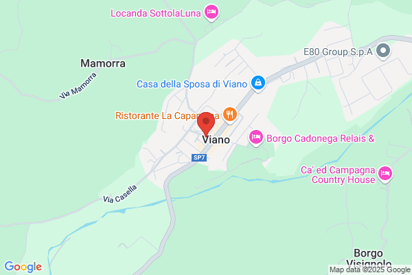 Viano guido