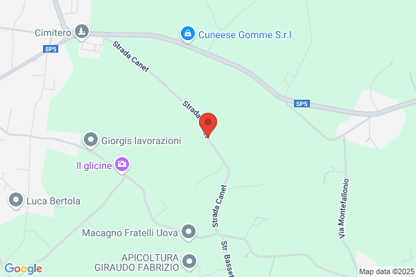 Viara Giorgis giorgio