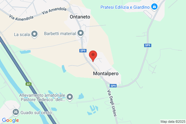 Elettrica G.P.  unipersonale