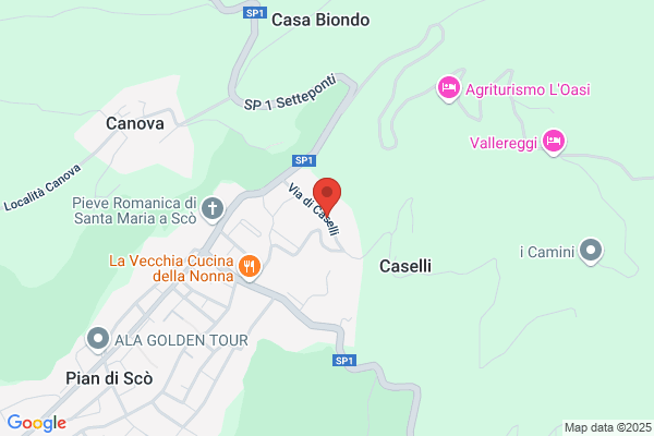 Masterlink Di Franchini Sandro