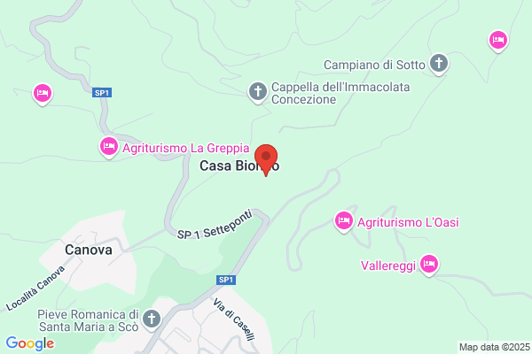 Fattoria Casamora
