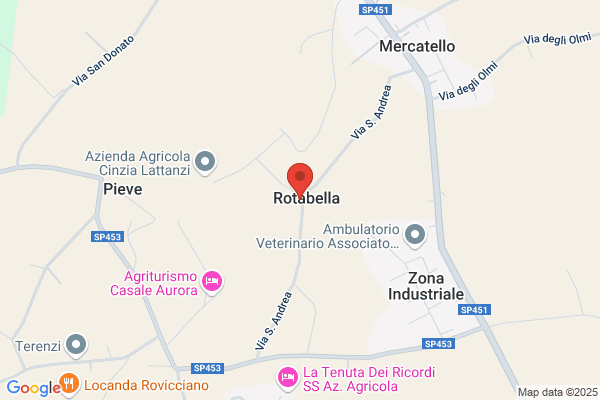 Meniconi roberto