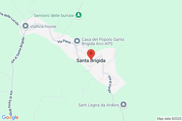 Senese brigida