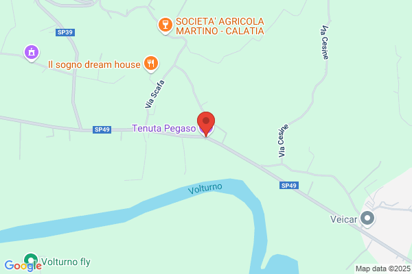 Tenuta Pegaso