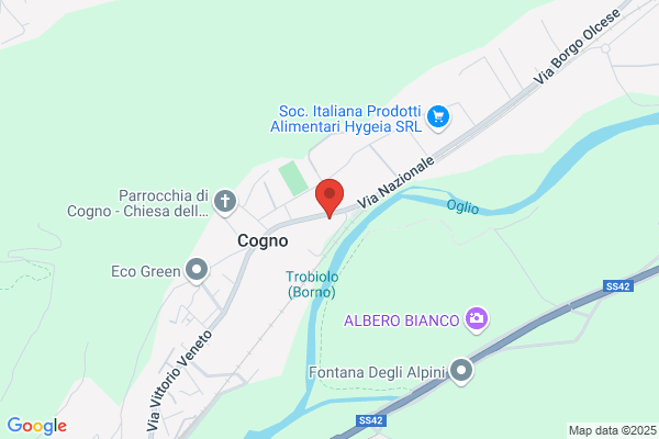 Gosio F.Lli Di Gosio Giuseppino E C. (S.N.C.)