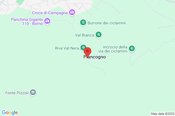 Ristorante Pizzeria La Tegola