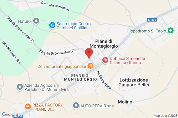 Ambulatorio Veterinario Dr. Marino Virgili e Dr. Paolo Papadantonakis
