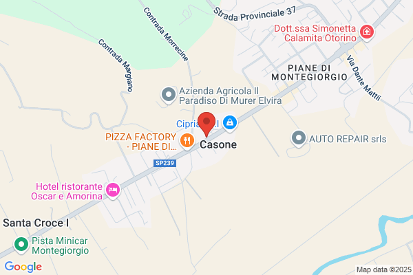 Panicciari Piante e Fiori