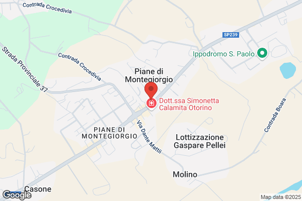 Fiori e Piante Beleggia