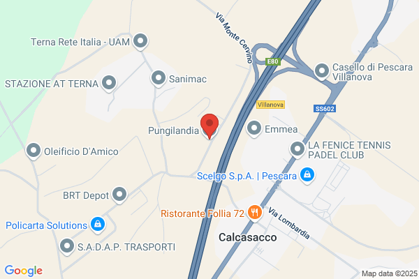Pungilandia Di Rocchi Dr. Domenico
