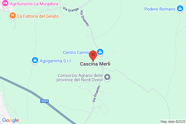Merlini carlo