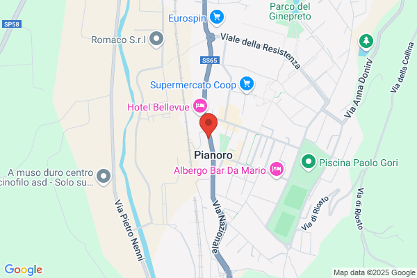 Studio Pianoro Srl