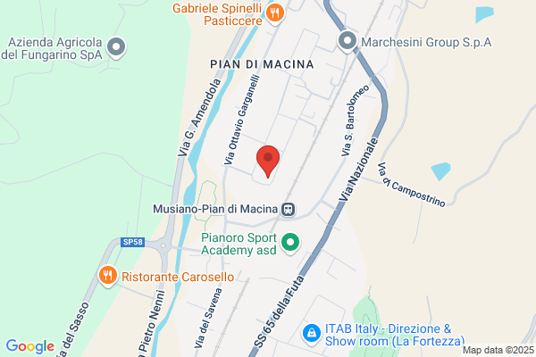 Punto M Srl