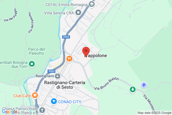 Sapi Srl