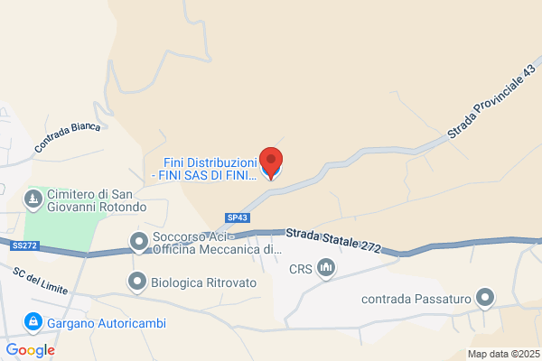 Fini Vincenzo Figli Di (S.A.S.)