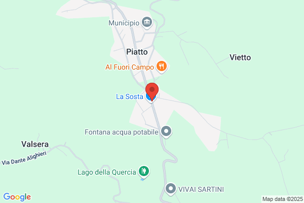 Salza carlo