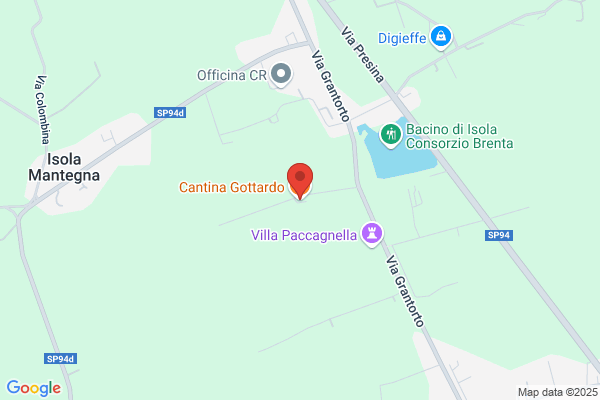 Gottardo Dino