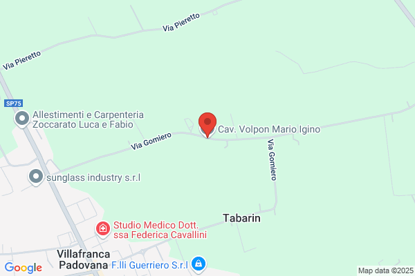 Cavaliere Volpon Mario Igino