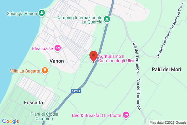 Il giardino degli ulivi 2.0