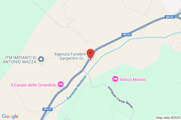 Sargentini ario