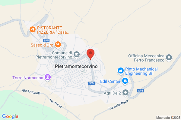 Vigilanza Ivsd