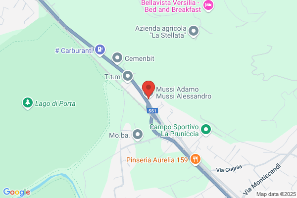 Mussi Adamo  Mussi Alessandro
