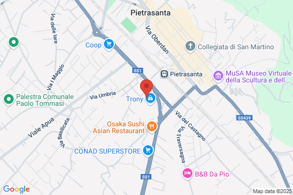 Altaversilia Viaggi Srl